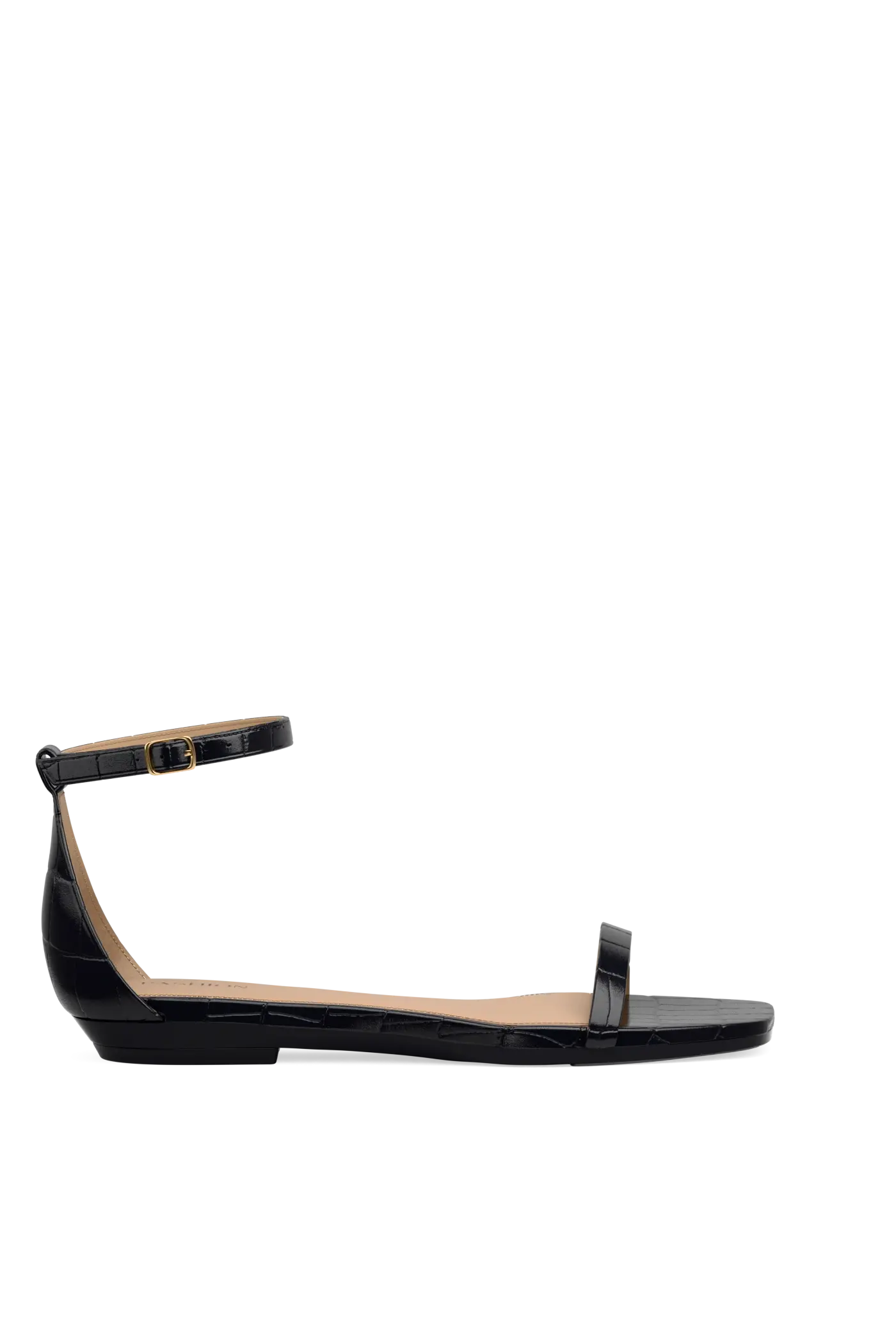 The Gigi - Coal Crocodile Flat