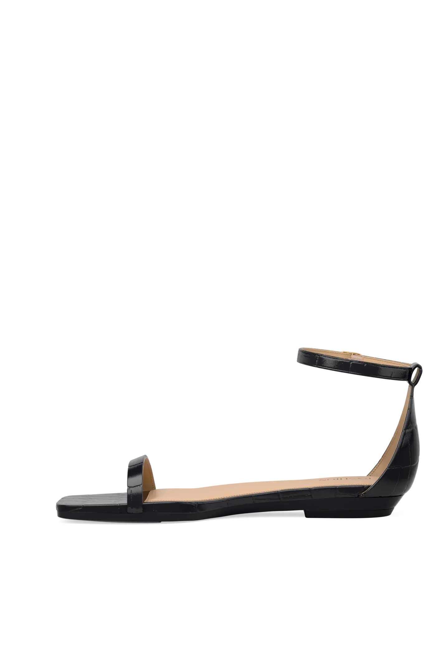 The Gigi - Coal Crocodile Flat